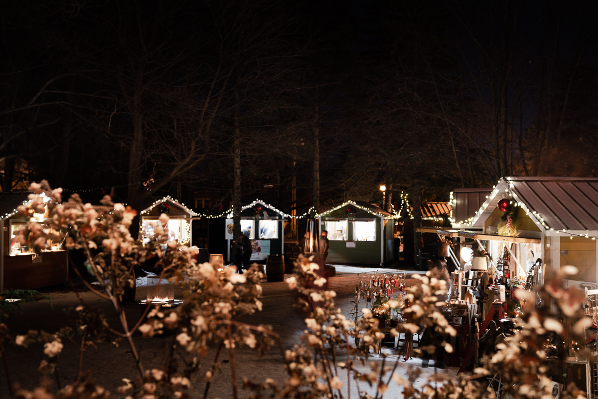 Féerie Lac du Village